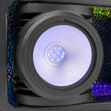 BeamZ "SB250IPFC" Outdoor LED RGBAL Blinder IP65, 2x 100W