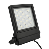 Showtec Cedda 100W LED-Fluter – Leistungsstarker LED-Fluter für den Innen- und Außenbereich