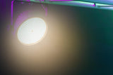 BeamZ BT430 LED DMX Stroboskop Warmweiß / Kaltweiß - Lightronic Showequipment