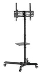 Audizio MFS30 mobiler TV Ständer mit Rollen für 32"-65" Bildschirme - Lightronic Showequipment