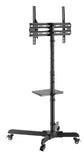 Audizio MFS30 mobiler TV Ständer mit Rollen für 32"-65" Bildschirme - Lightronic Showequipment